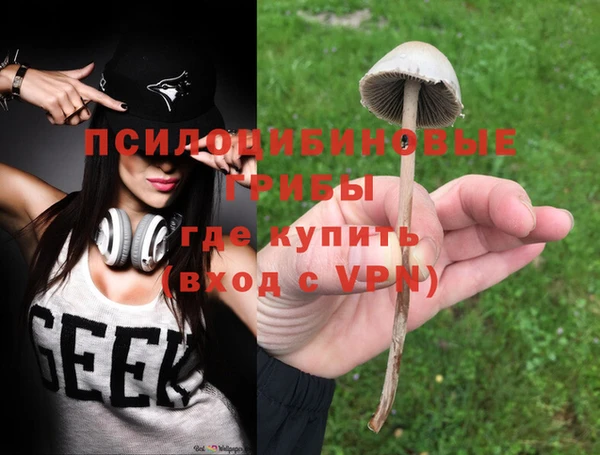 2c-b Алексин