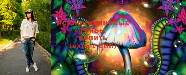 ешки Алзамай