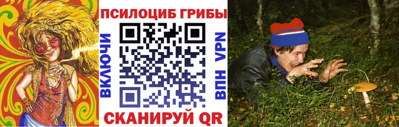 Галлюциногенные грибы мицелий  Карачев 