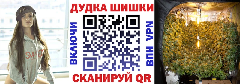 МАРИХУАНА гибрид Карачев